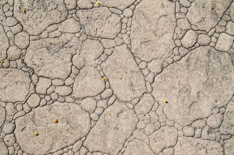 Decorative Concrete Repair in Clermont, FL